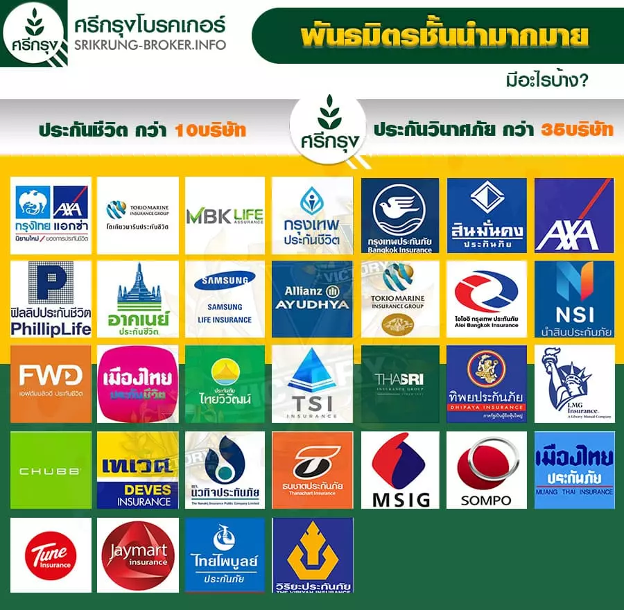 ประกันภัย